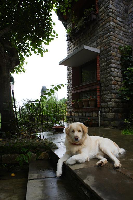 Saffronstays Himalaica, Nainital Bhowali Extérieur photo