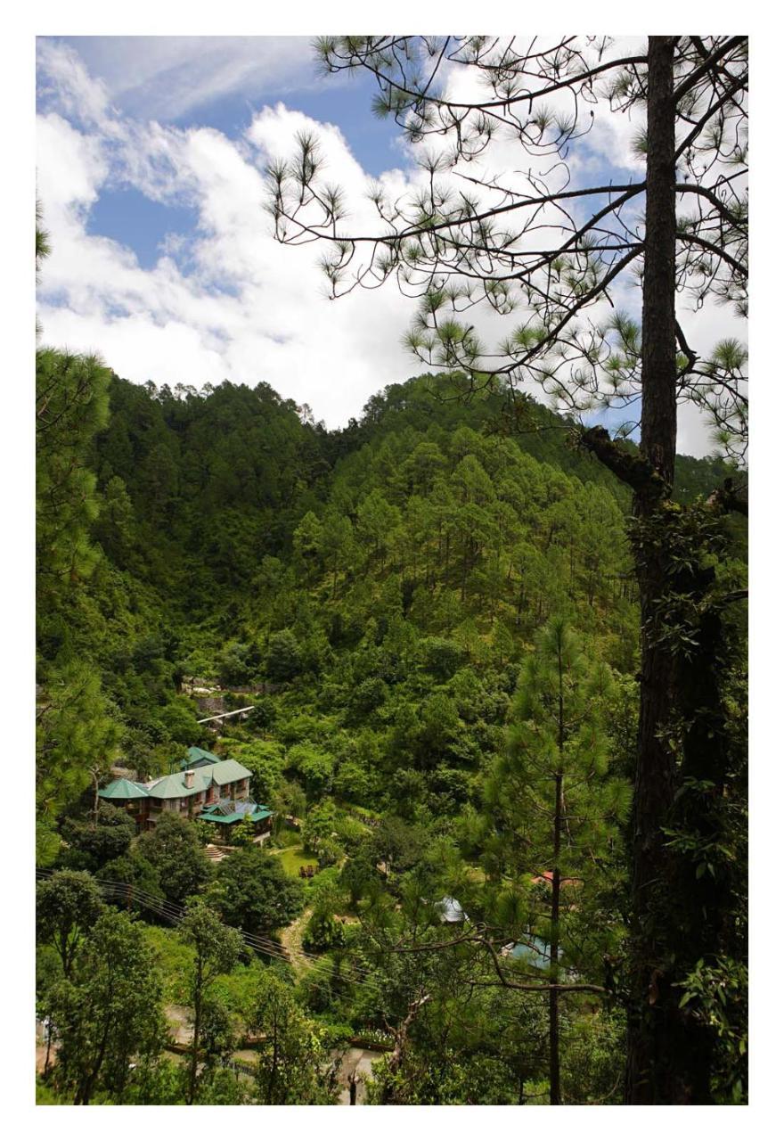 Saffronstays Himalaica, Nainital Bhowali Extérieur photo